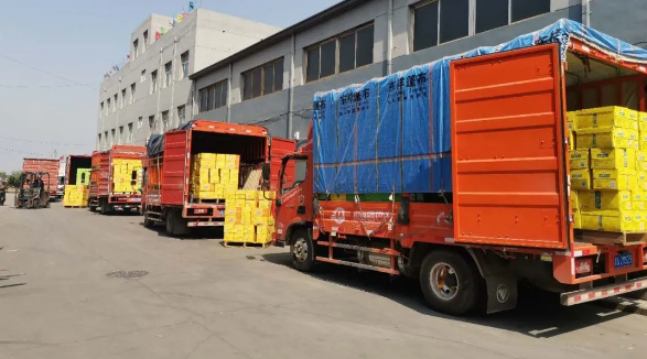 15982325617298190111.png 3.png